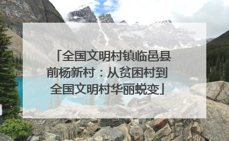 全国文明村镇临邑县前杨新村：从贫困村到全国文明村华丽蜕变